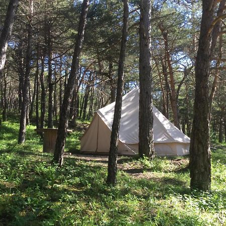 Отель Camping La Chabannerie Saint-Martin-de-Clelles Экстерьер фото