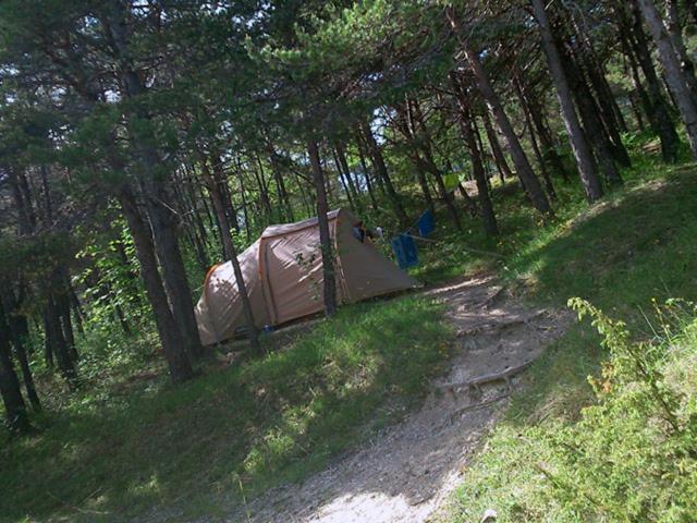 Отель Camping La Chabannerie Saint-Martin-de-Clelles Экстерьер фото